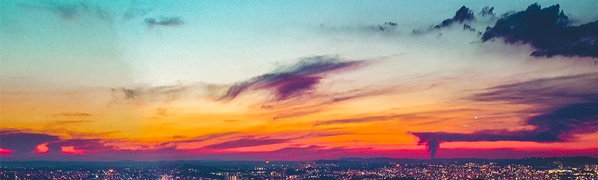 佛山茶虫网_佛山品茶